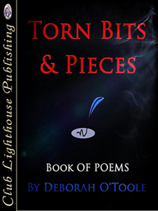 "Torn Bits & Pieces" by Deborah O'Toole