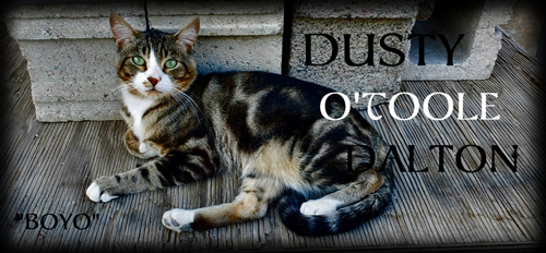 Dusty OToole Dalton @ Facebook.
