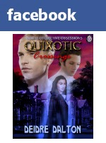 Quixotic Crossings @ Facebook