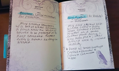 Kate Grady's herb journal. Click on image to view larger size in a new window.