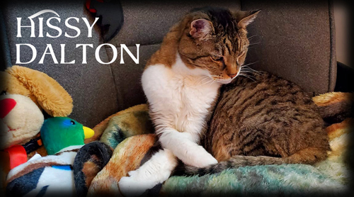 Hissy Dalton @ Facebook.