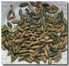 Roasted Pumpkin Seeds