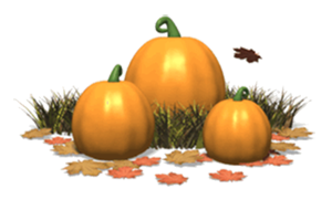 Happy Autumn!