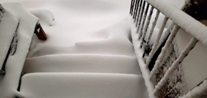 February 2023 snow. Click on image to view larger size in a new window.