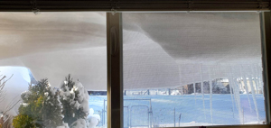 February 2023 snow. Click on image to view larger size in a new window.