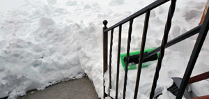 February 2023 snow. Click on image to view larger size in a new window.